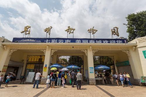 央视爆料昆明动物园视频,动物生活状况引关注  第2张